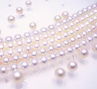 ファッションジュエリーPearl Jewelry